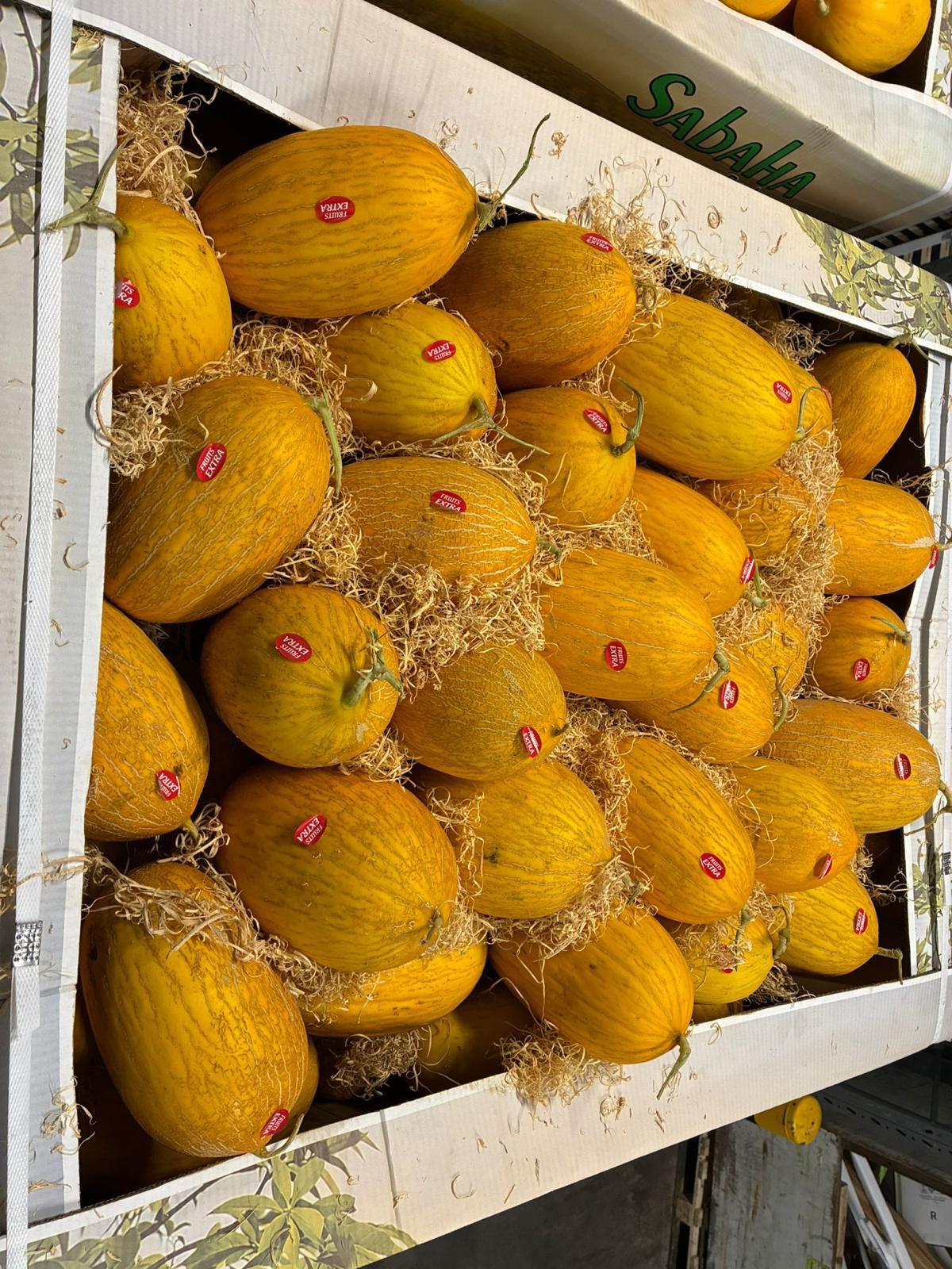Gelbe Melonen Fruits Extra