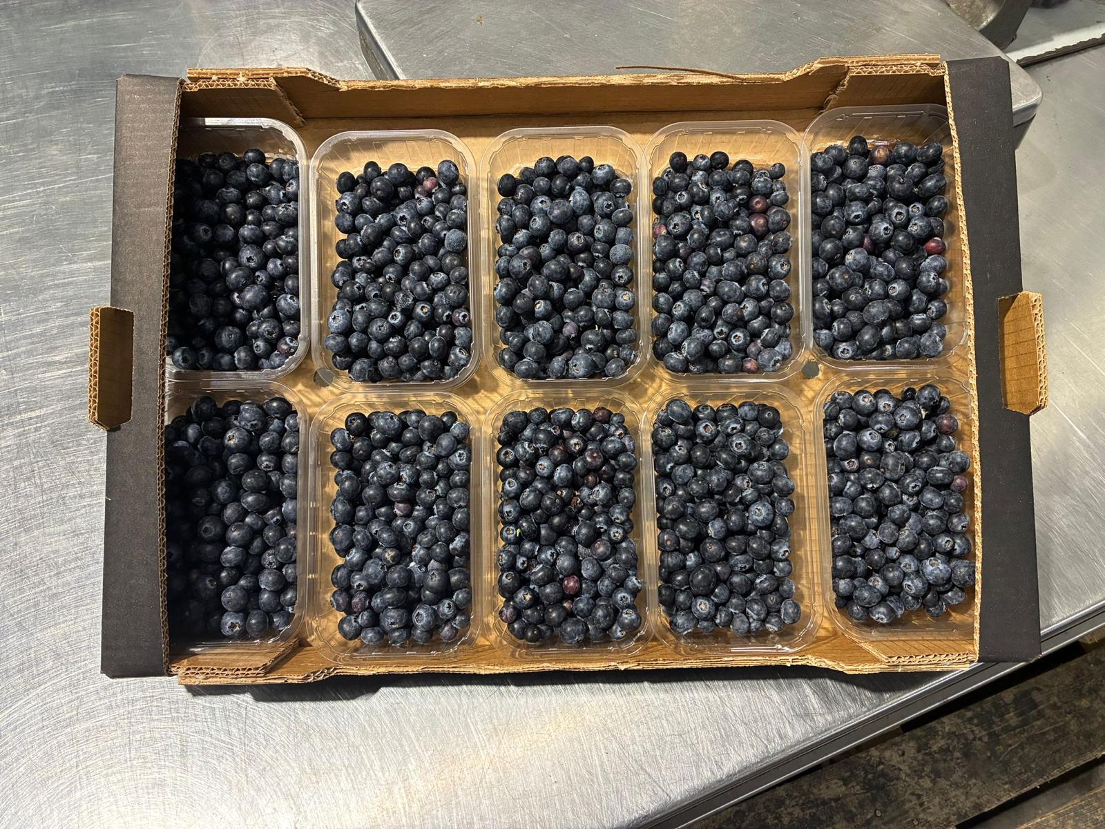 Heidelbeeren im Tray