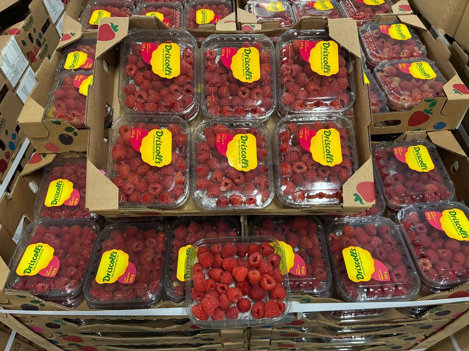 Himbeeren Driscoll's