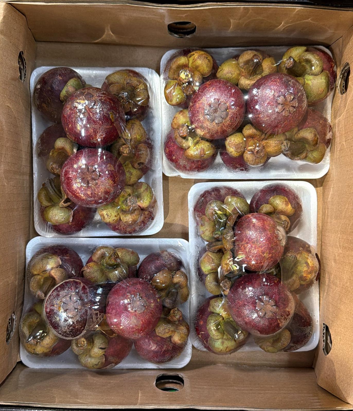 Mangostan exotisch