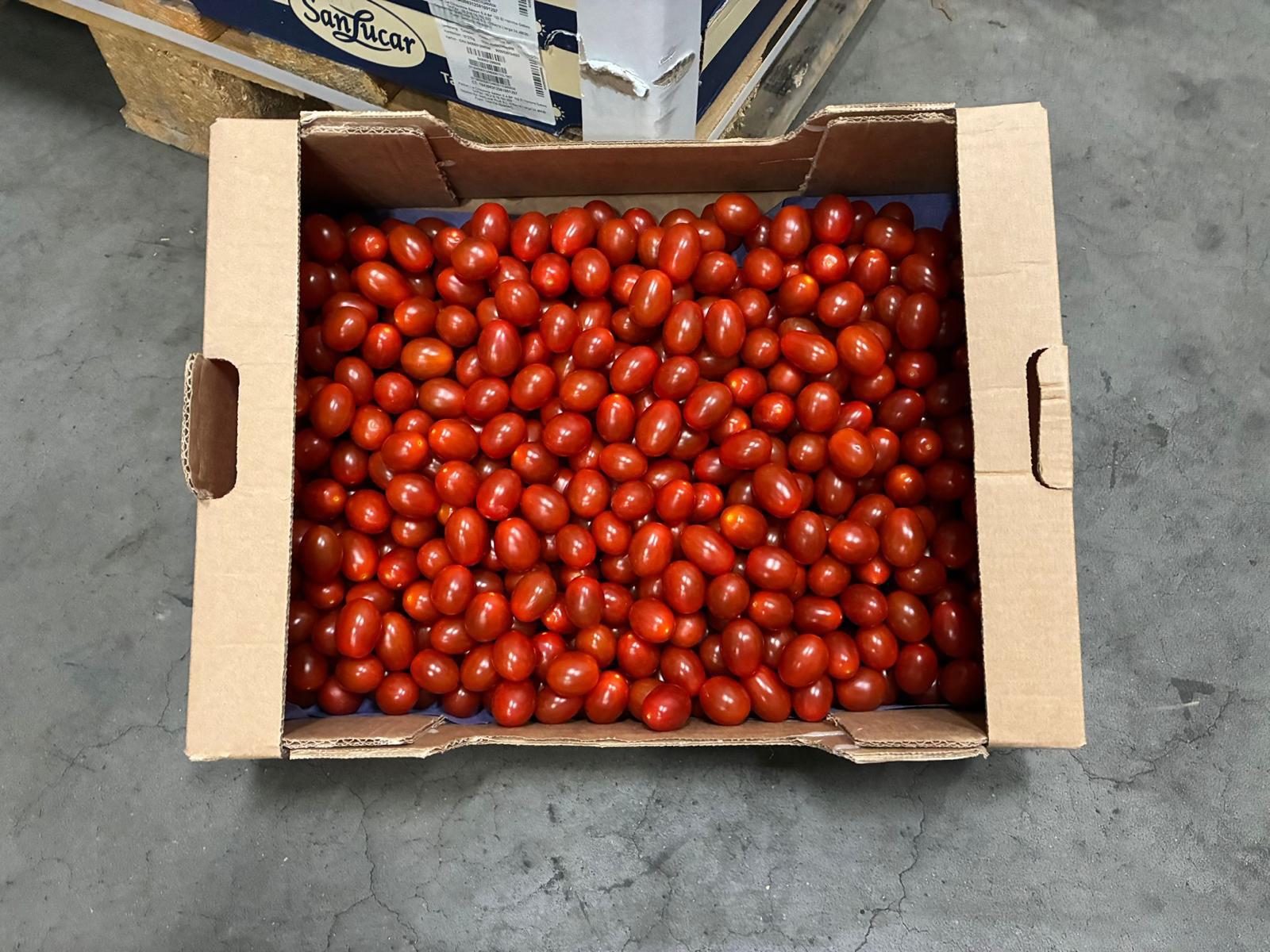 Datterino Tomaten